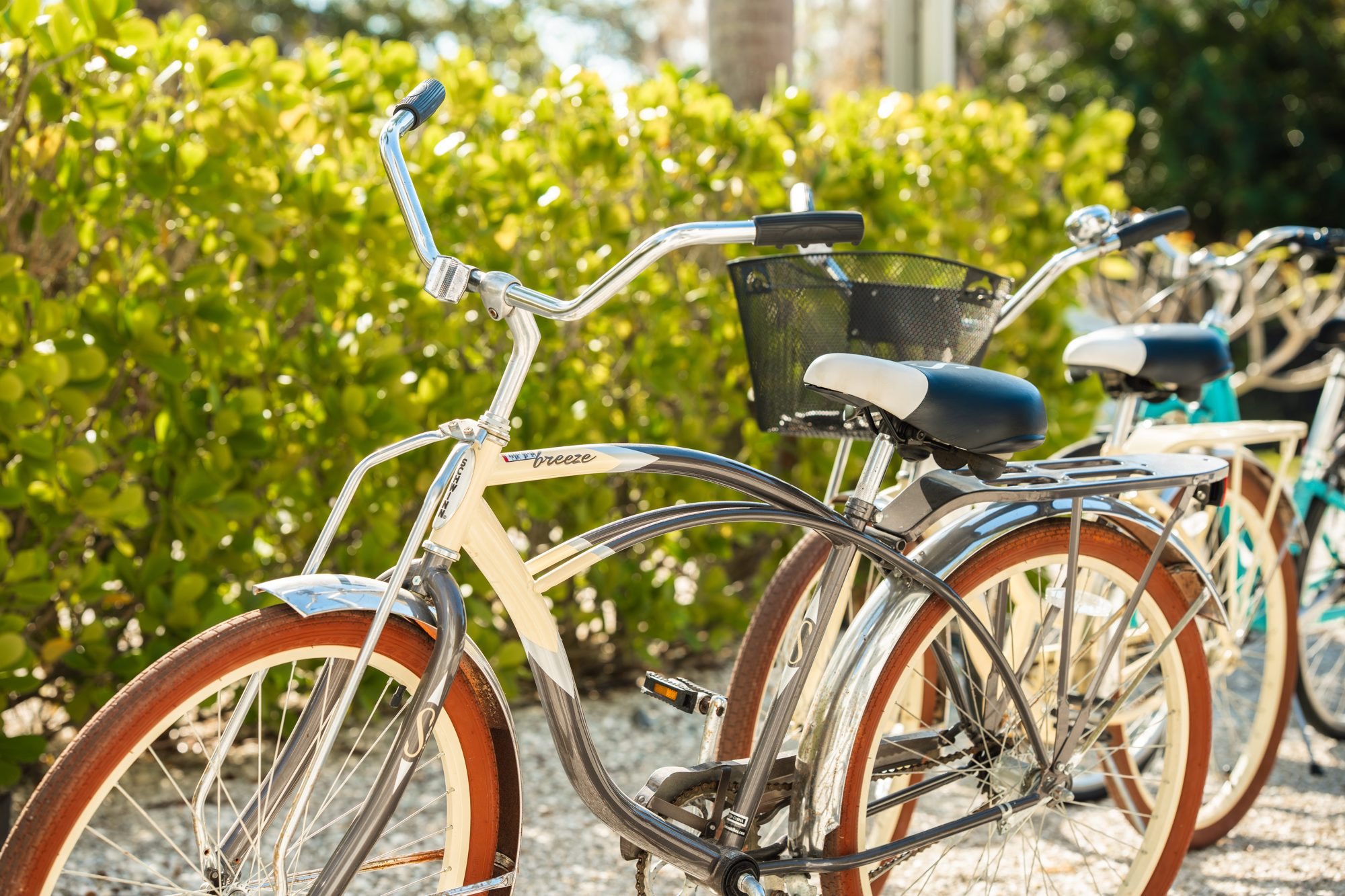 Beach cruiser bikes with a basket, ready to ride